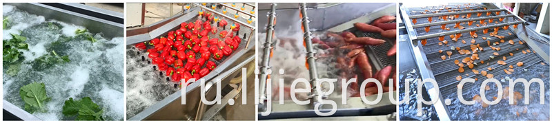 vegetable processing line (3)